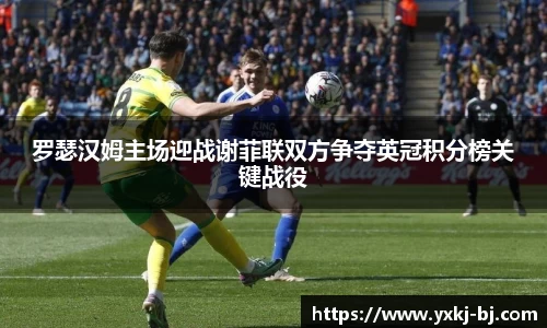 罗瑟汉姆主场迎战谢菲联双方争夺英冠积分榜关键战役