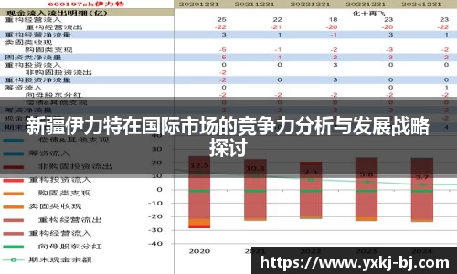 新疆伊力特在国际市场的竞争力分析与发展战略探讨